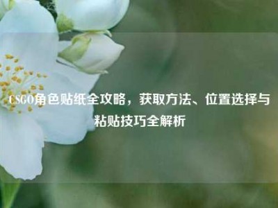 CSGO角色贴纸全攻略，获取方法、位置选择与粘贴技巧全解析