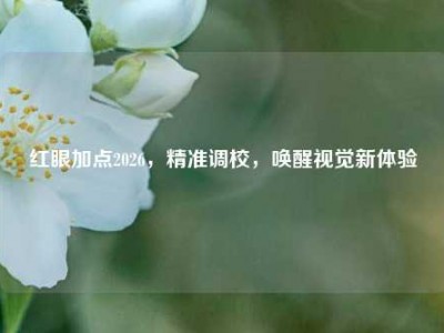 红眼加点2026，精准调校，唤醒视觉新体验