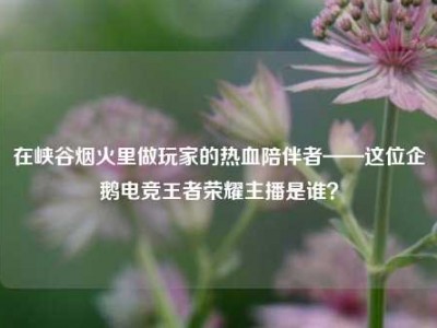 在峡谷烟火里做玩家的热血陪伴者——这位企鹅电竞王者荣耀主播是谁？