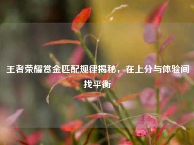 王者荣耀赏金匹配规律揭秘，在上分与体验间找平衡