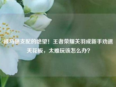 被马腿支配的绝望！王者荣耀关羽成新手劝退天花板，太难玩该怎么办？