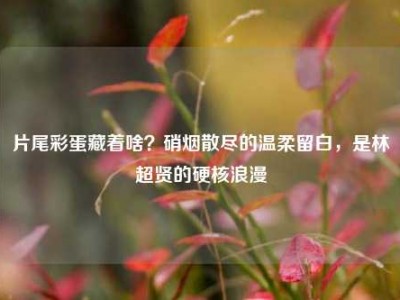 片尾彩蛋藏着啥？硝烟散尽的温柔留白，是林超贤的硬核浪漫