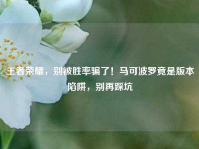 王者荣耀，别被胜率骗了！马可波罗竟是版本陷阱，别再踩坑