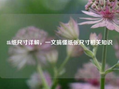 8k纸尺寸详解，一文搞懂纸张尺寸相关知识