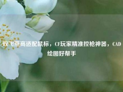 双飞燕高适配鼠标，CF玩家精准控枪神器，CAD绘图好帮手