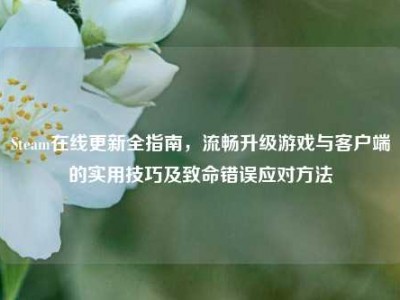 Steam在线更新全指南，流畅升级游戏与客户端的实用技巧及致命错误应对方法