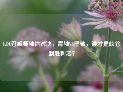 LOL召唤师轴体对决，青轴VS黑轴，谁才是峡谷制胜利器？