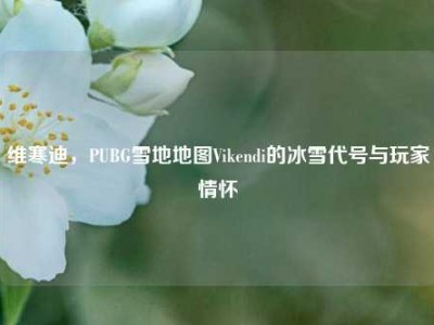 维寒迪，PUBG雪地地图Vikendi的冰雪代号与玩家情怀