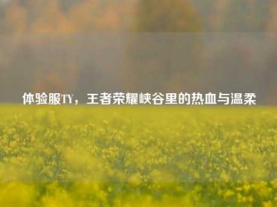 体验服TY，王者荣耀峡谷里的热血与温柔