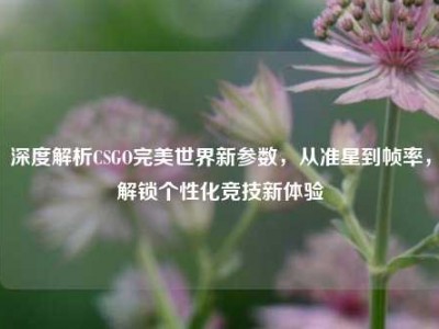 深度解析CSGO完美世界新参数，从准星到帧率，解锁个性化竞技新体验