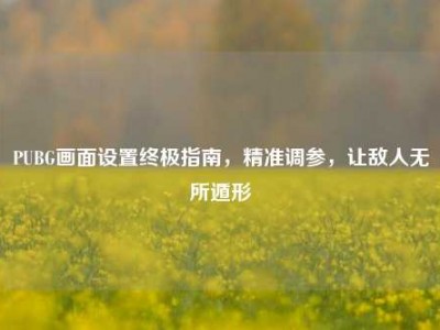 PUBG画面设置终极指南，精准调参，让敌人无所遁形