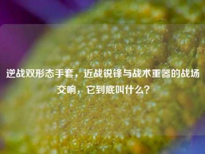 逆战双形态手套，近战锐锋与战术重器的战场交响，它到底叫什么？