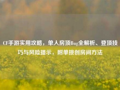 CF手游实用攻略，单人房顶Bug全解析、登顶技巧与风险提示，附单挑创房间方法