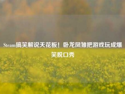 Steam搞笑解说天花板！卧龙凤雏把游戏玩成爆笑脱口秀