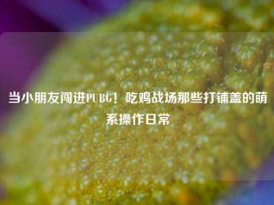 当小朋友闯进PUBG！吃鸡战场那些打铺盖的萌系操作日常
