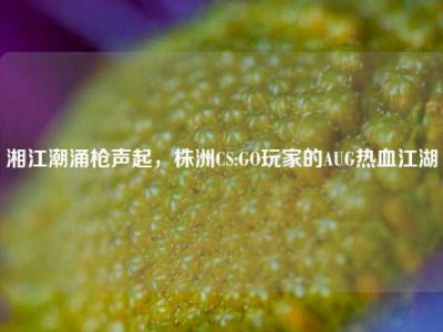 湘江潮涌枪声起，株洲CS:GO玩家的AUG热血江湖