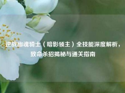 逆战幽魂骑士（暗影领主）全技能深度解析，致命杀招揭秘与通关指南