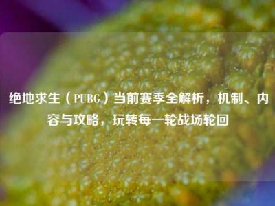 绝地求生（PUBG）当前赛季全解析，机制、内容与攻略，玩转每一轮战场轮回