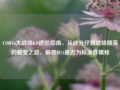 COD16大战场KD进阶指南，从送分仔到战场精英的蜕变之路，解惑M14是否为标准件螺栓