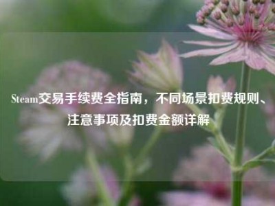 Steam交易手续费全指南，不同场景扣费规则、注意事项及扣费金额详解