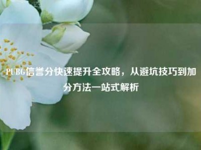 PUBG信誉分快速提升全攻略，从避坑技巧到加分方法一站式解析