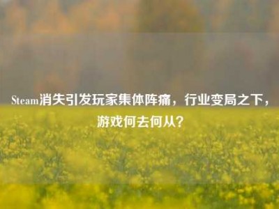 Steam消失引发玩家集体阵痛，行业变局之下，游戏何去何从？