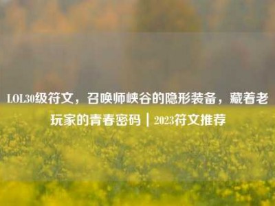 LOL30级符文，召唤师峡谷的隐形装备，藏着老玩家的青春密码｜2023符文推荐