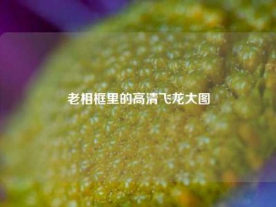 老相框里的高清飞龙大图