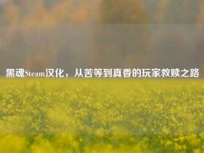 黑魂Steam汉化，从苦等到真香的玩家救赎之路