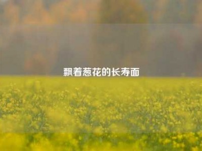 飘着葱花的长寿面