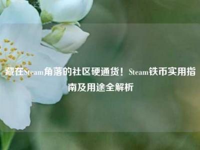 藏在Steam角落的社区硬通货！Steam铁币实用指南及用途全解析
