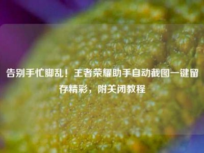 告别手忙脚乱！王者荣耀助手自动截图一键留存精彩，附关闭教程