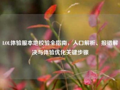 LOL体验服本地校验全指南，入口解析、报错解决与体验优化关键步骤
