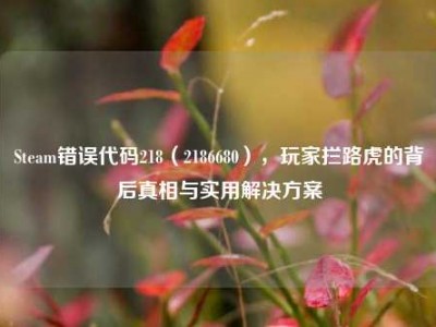 Steam错误代码218（2186680），玩家拦路虎的背后真相与实用解决方案