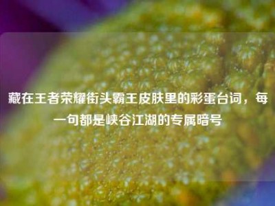 藏在王者荣耀街头霸王皮肤里的彩蛋台词，每一句都是峡谷江湖的专属暗号