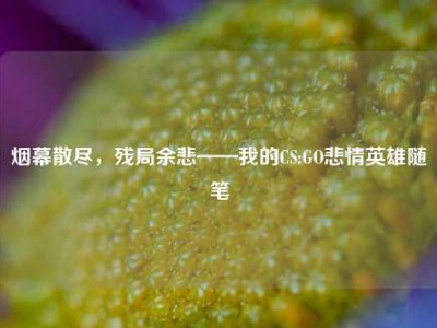 烟幕散尽，残局余悲——我的CS:GO悲情英雄随笔