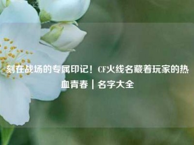 刻在战场的专属印记！CF火线名藏着玩家的热血青春｜名字大全