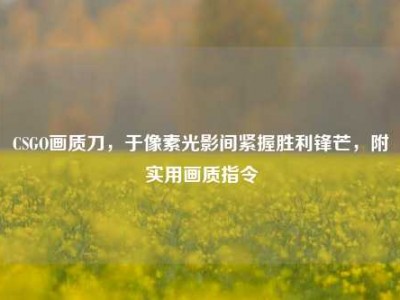 CSGO画质刀，于像素光影间紧握胜利锋芒，附实用画质指令