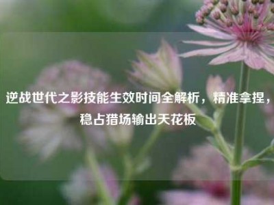 逆战世代之影技能生效时间全解析，精准拿捏，稳占猎场输出天花板