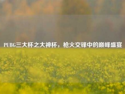 PUBG三大杯之大神杯，枪火交锋中的巅峰盛宴