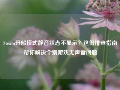 Steam开船模式静音状态不显示？这份排查指南帮你解决个别游戏无声音问题
