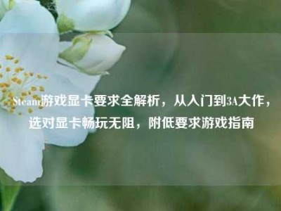 Steam游戏显卡要求全解析，从入门到3A大作，选对显卡畅玩无阻，附低要求游戏指南