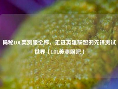 揭秘LOL美测服全称，走进英雄联盟的先锋测试世界（LOL美测服吧）