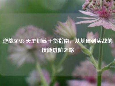 逆战SCAR-天王训练干货指南，从基础到实战的技能进阶之路
