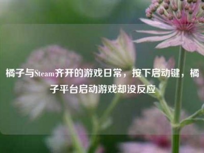 橘子与Steam齐开的游戏日常，按下启动键，橘子平台启动游戏却没反应