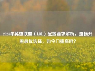 2024年英雄联盟（LOL）配置要求解析，流畅开黑最优选择，如今门槛高吗？