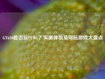 GT610能否玩PUBG？实测体验及可玩游戏大盘点