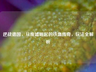 逆战德国，从废墟崛起的铁血传奇，玩法全解析