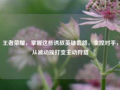 王者荣耀，掌握这些诱敌英雄套路，拿捏对手，从被动挨打变主动狩猎