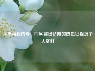 从黑马到传奇，PUBG赛场骄阳的热血征程及个人资料
